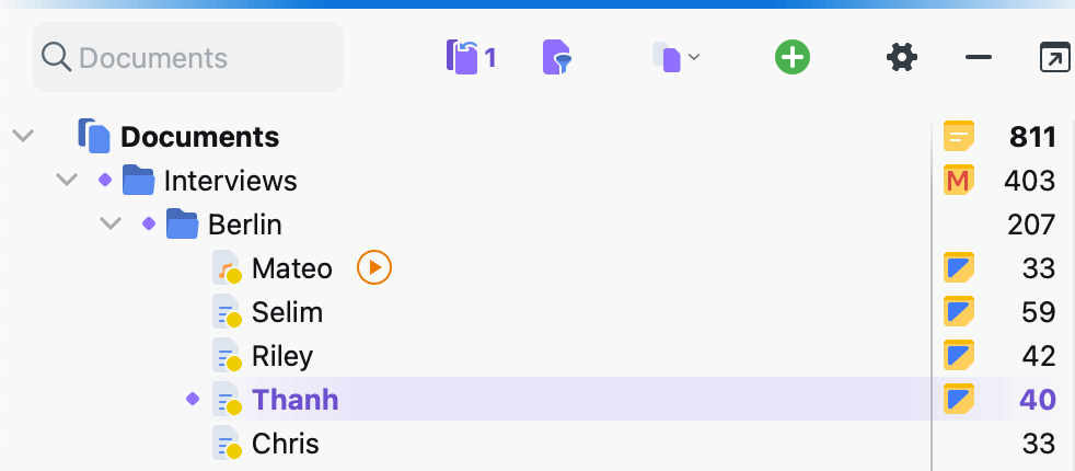 An ctivated document in the “Document System” An activated document in the “Document System”