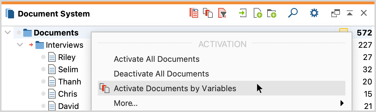Accessing the function from the context menu or the icon in the “Document System” Accessing the function from the context menu