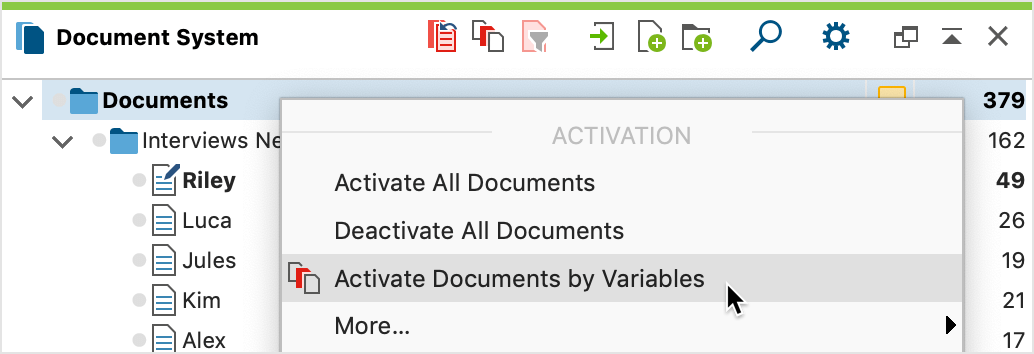 Accessing the function from the context menu or the icon in the “Document System” Accessing the function from the context menu