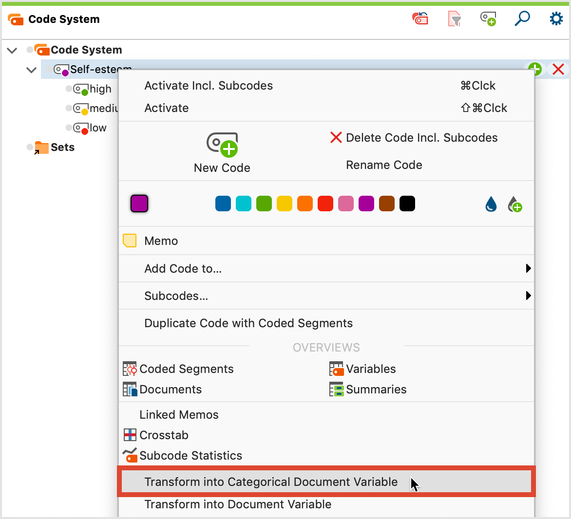 Calling up the “Transform into a categorical doc-variable” function in a code’s context menu Calling up the “Transform into a categorical doc-variable” function in a code’s context menu