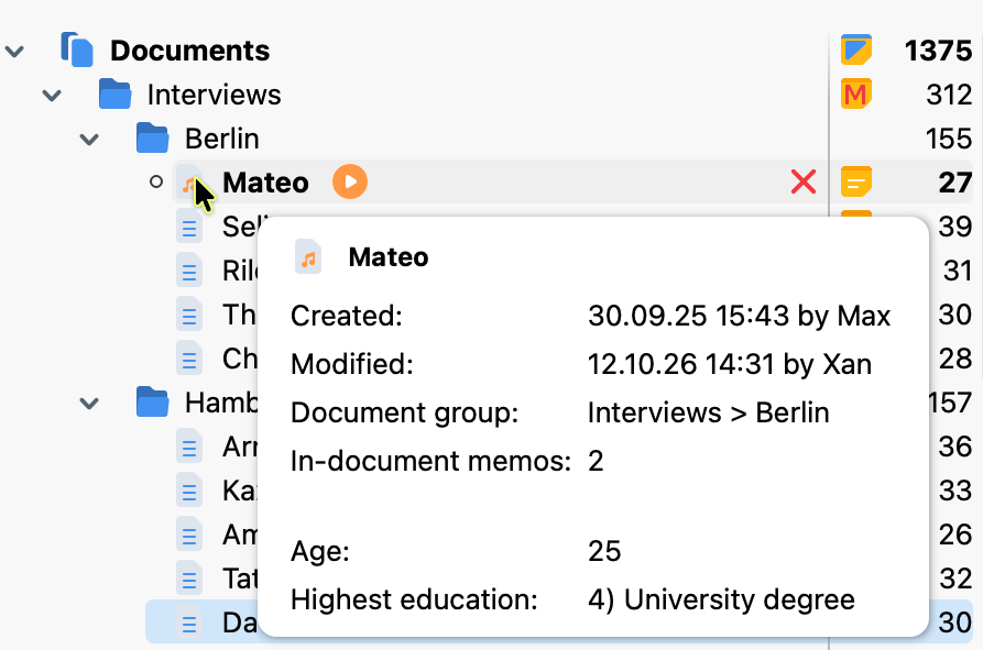 Tooltip showing the variable values of a document
