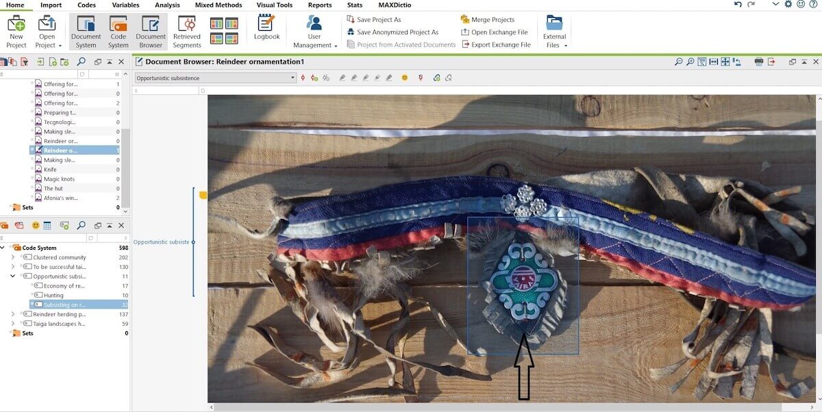 Reindeer decoration with Lithuanian bicycle emblem I coded as a “Opportunistic subsistence”.