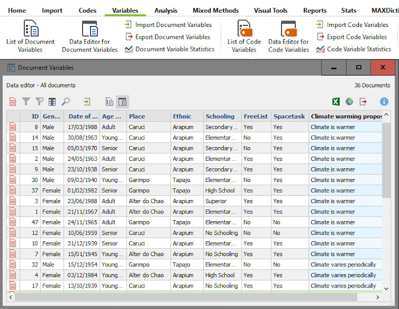 ata Editor for Document Variables in MAXQDA 2018