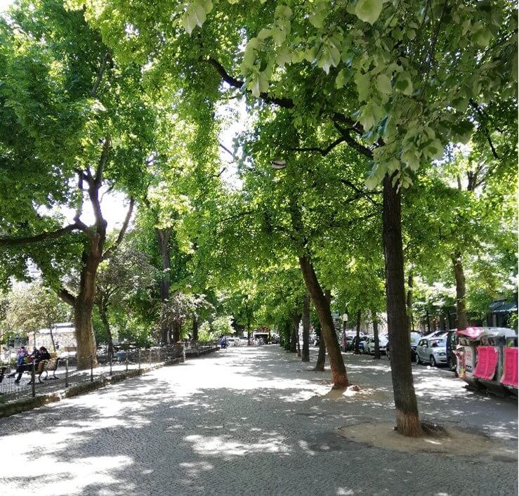 Paseo al borde de Boxhagener Platz, el campo de mi investigación