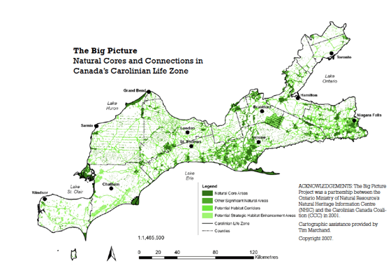 Carolinian Canada’s big picture study