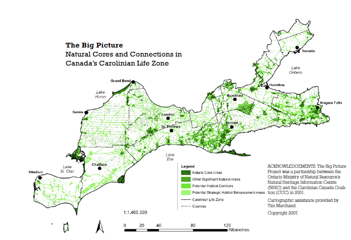 Carolinian Canada’s big picture study