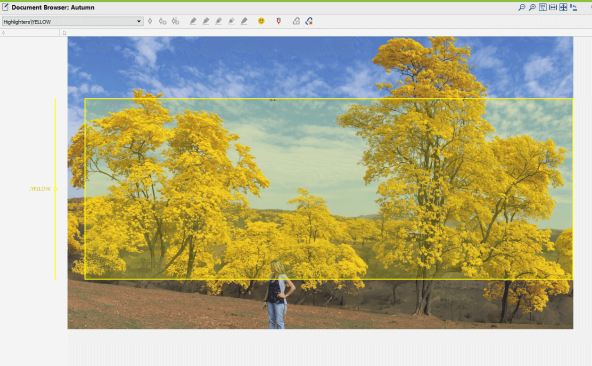 Color Coding Images in MAXQDA 2018