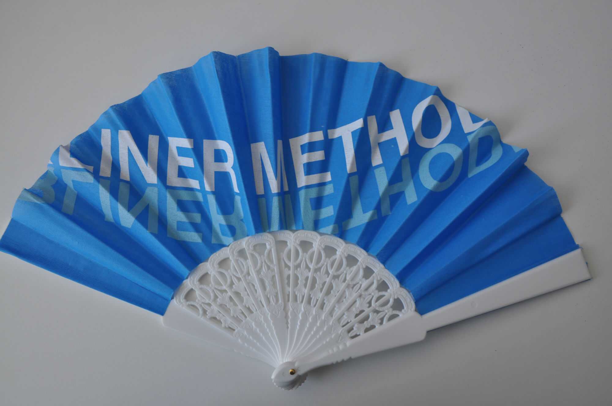 BMT Fan at the Berliner Methodentreffen 2017