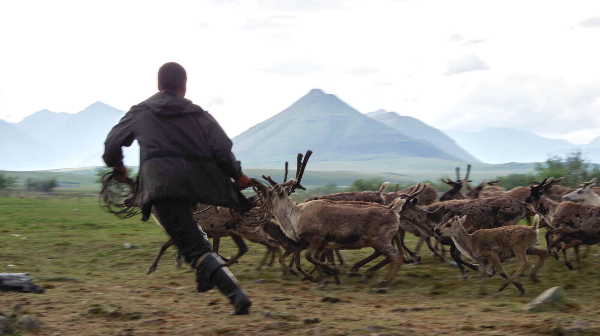 Daily life of reindeer people