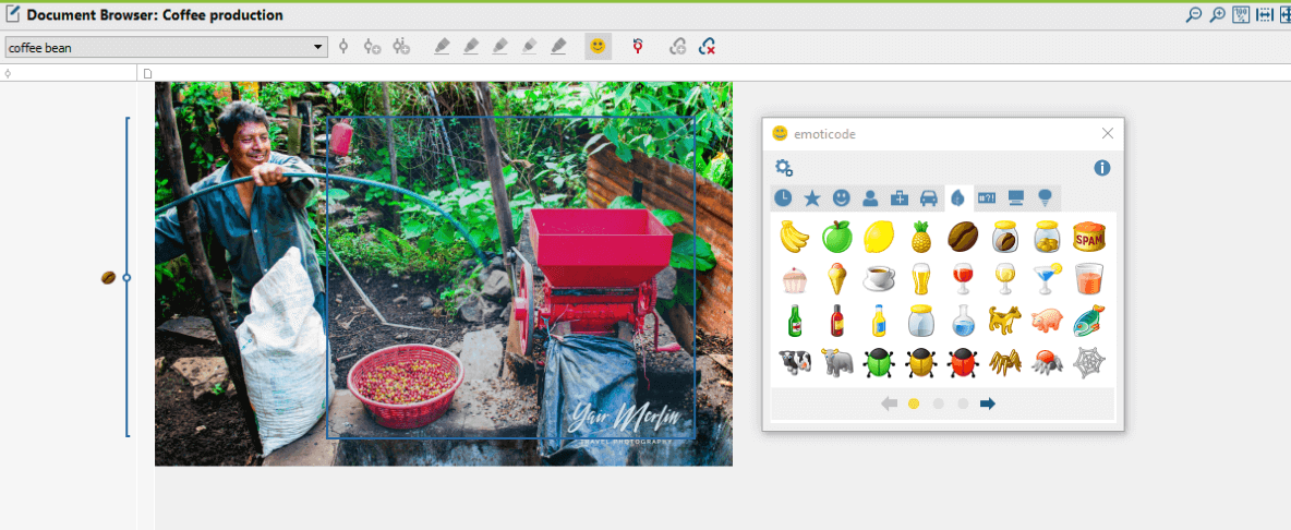 Emoticode Images with MAXQDA 2018