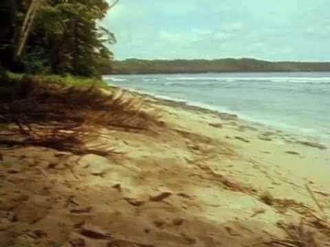 Ethnographic Research Video