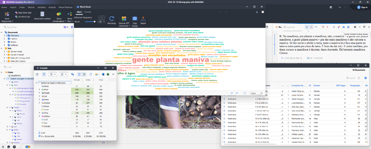 Ethnographic Research: MAXQDA with multiple screens opened