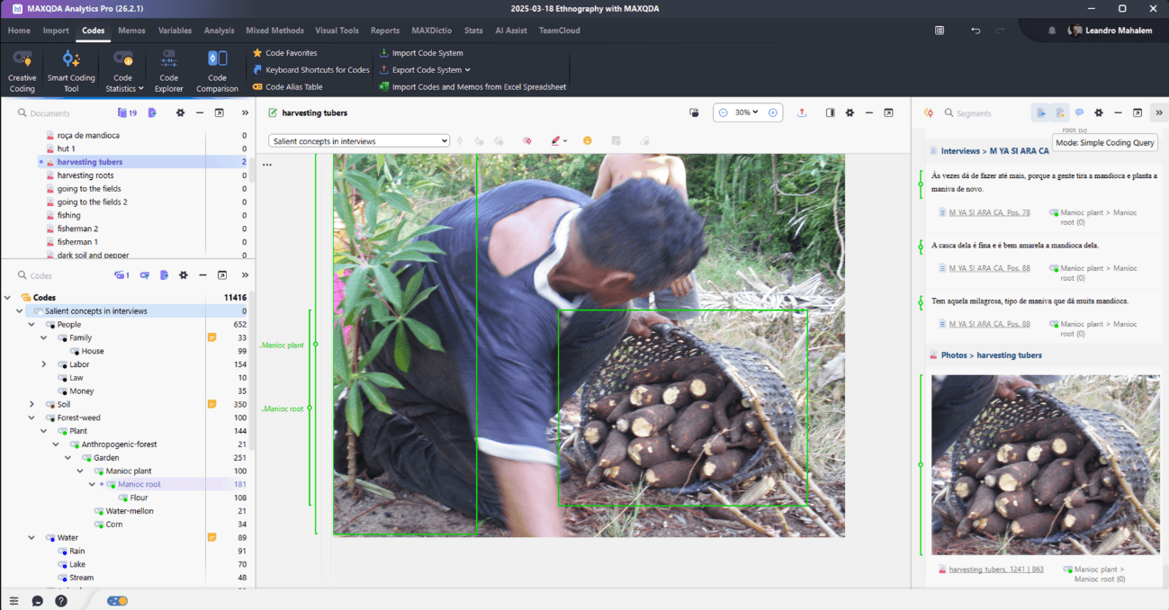 Ethnographic Research: Media coding with MAXQDA