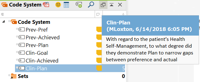 Codes imported into MAXQDA from Excel
