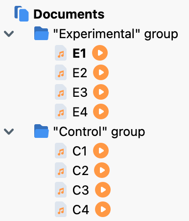 Documents organized into document groups in MAXQDA’s “Documents” window