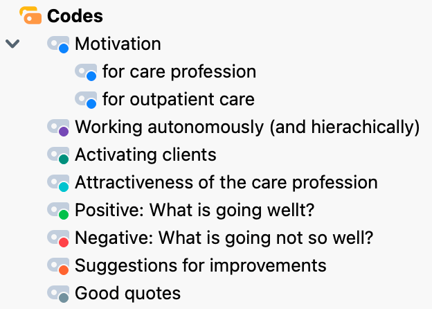 Initial coding frame in MAXQDA’s „Codes“ window