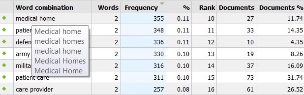Word Frequeny Output MAXQDA