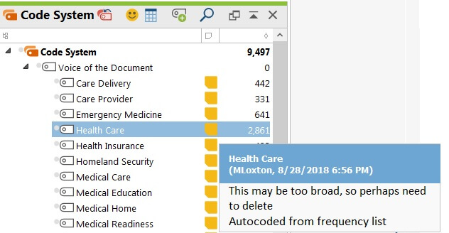 Imported Codes in MAXQDA