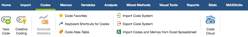 Document analysis: Figure 2: coding options in MAXQDA