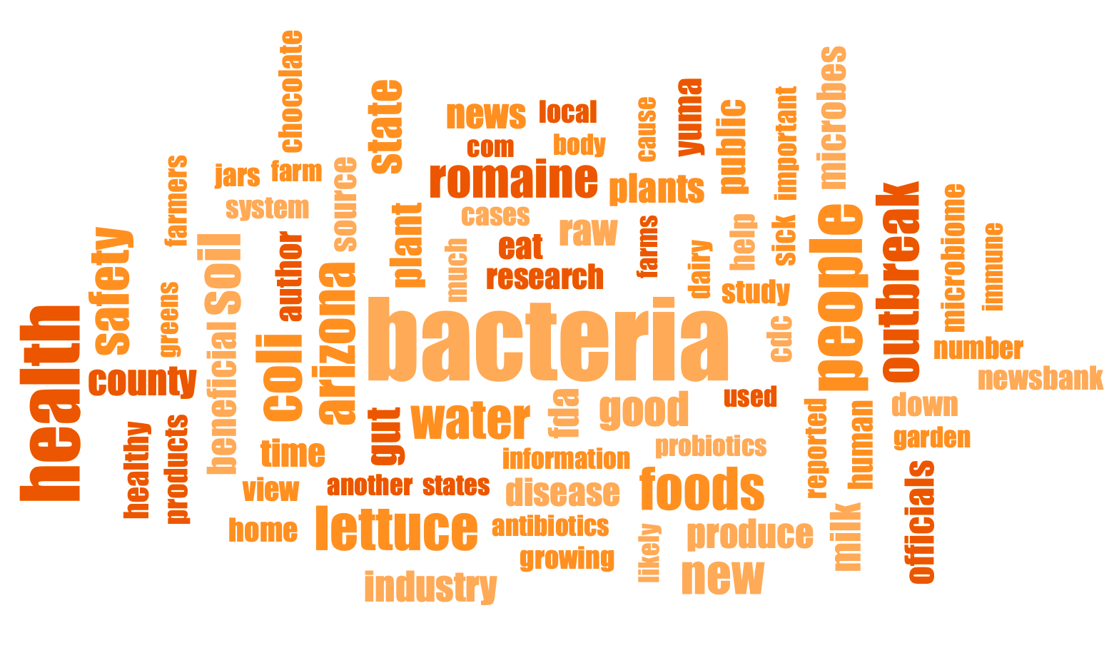 Figure 4: Screenshot from MAXQDA2020 showing a Word Cloud with words from articles from newspapers in Arizona.