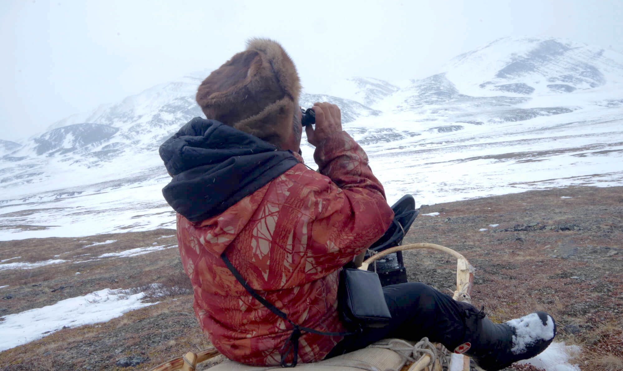 A herder watches over the reindeer