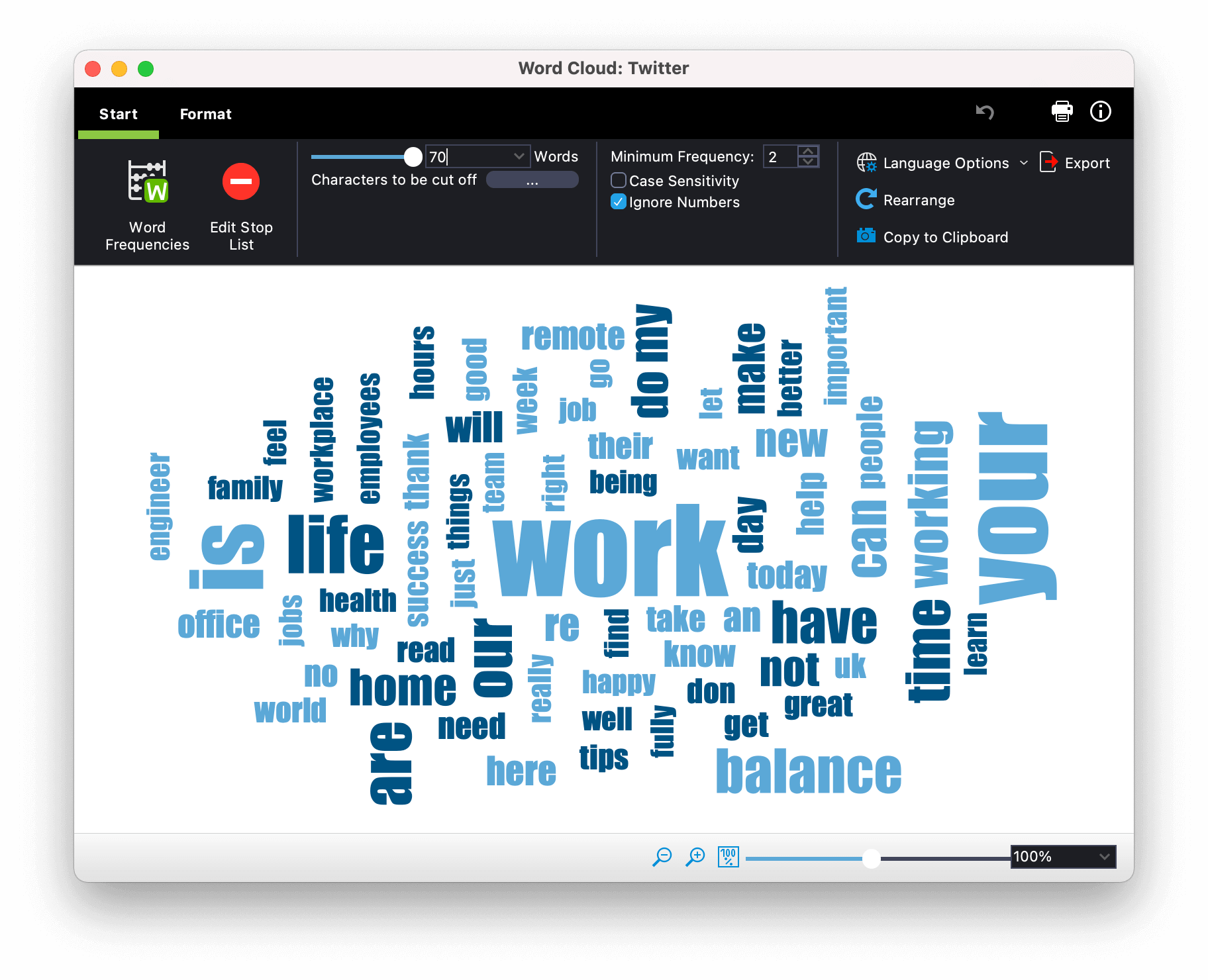 Screenshot from MAXQDA2020 showing a word cloud of terms associated with work/life balance.