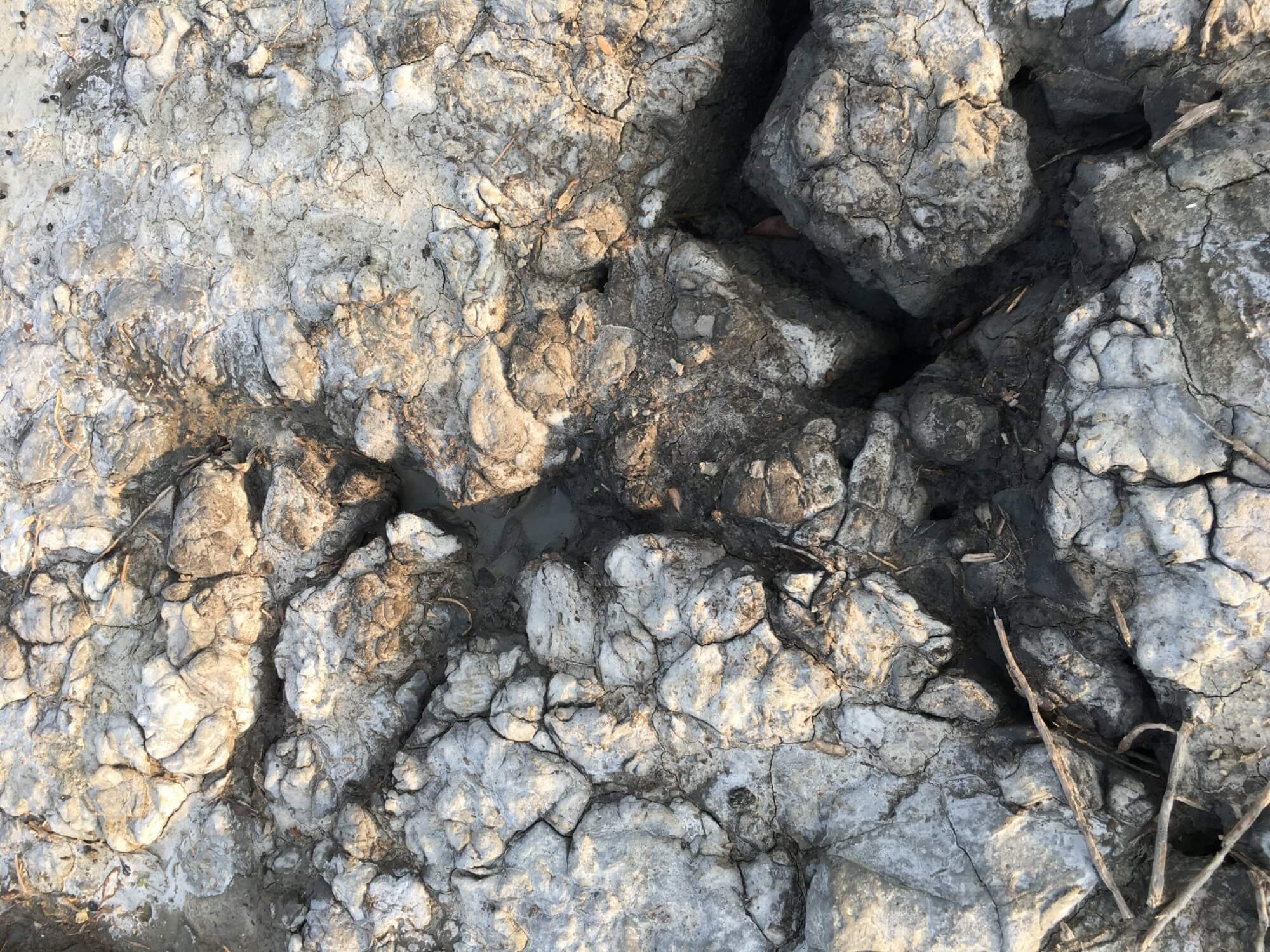 The ground cracking from the remnants salty waters, leaving behind a white salty residue.