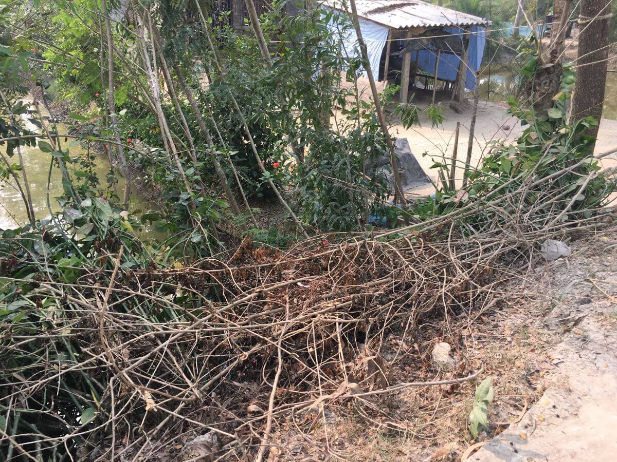 cyclone destruction