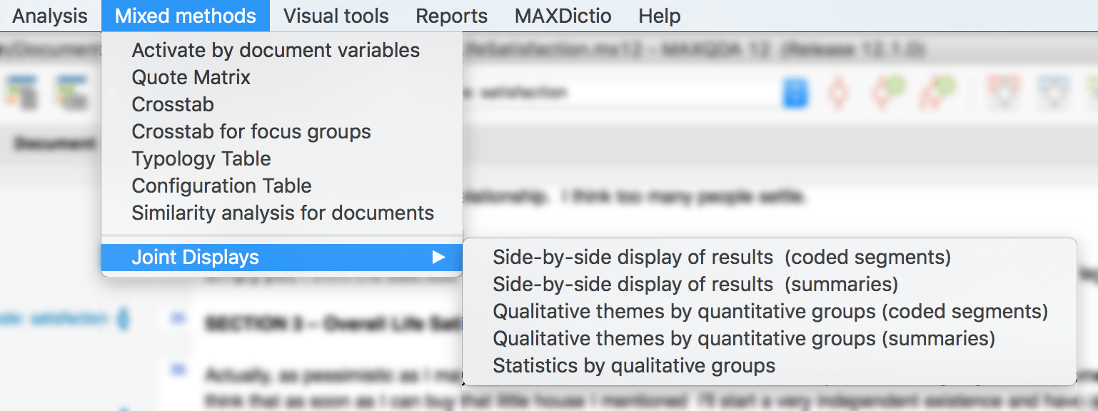 Joint-Displays-MAXQDA