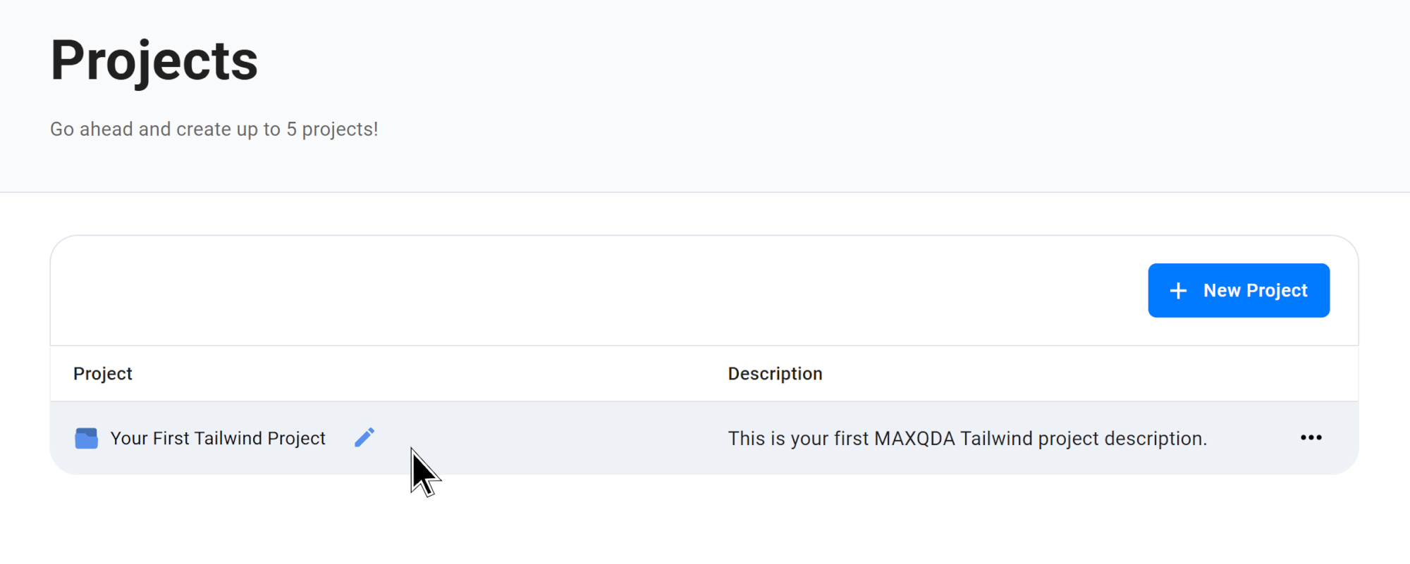 MAXQDA Tailwind Projects Dashboard with a selected project.