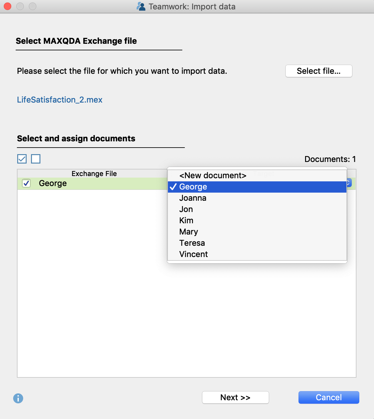 maxqda import document maxqda import document