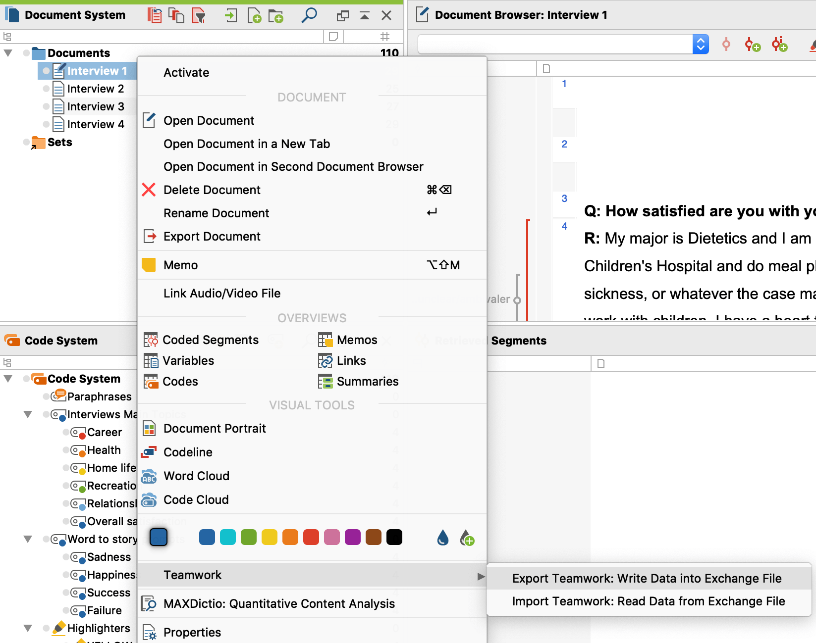 Start teamwork export for “Interview 1“ from within the “Document System” Start teamwork export for “Interview 1“ from within the “Document System”