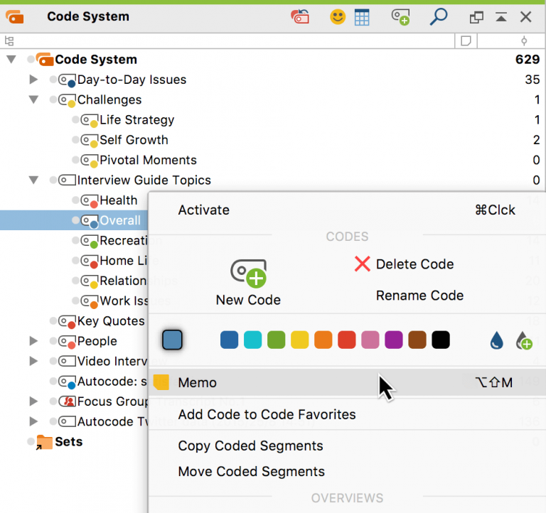 Create a Code Memo | MAXQDA