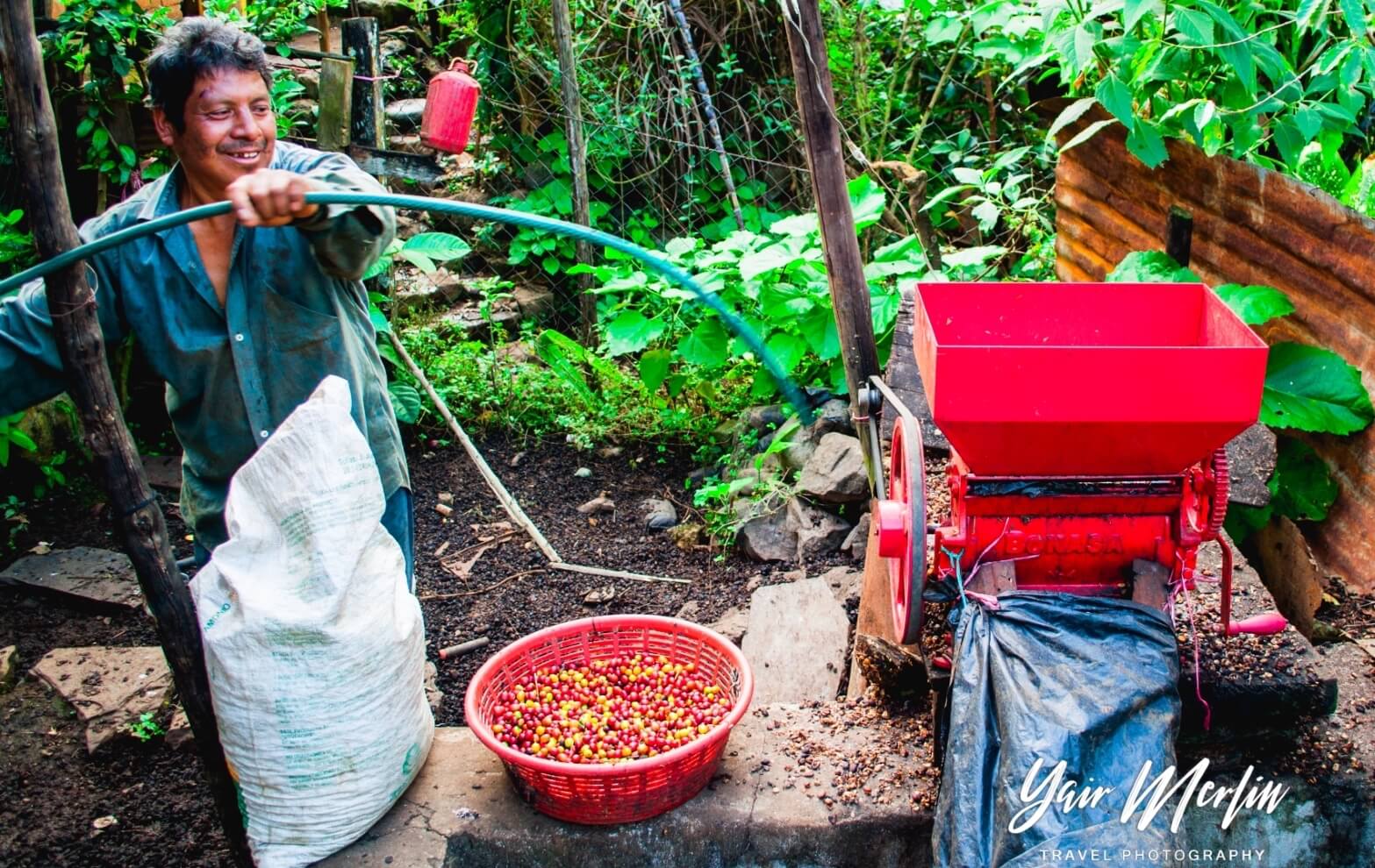 Sustainable Coffee is an Issue of Social Justice” by Yair Merlín-Uribe