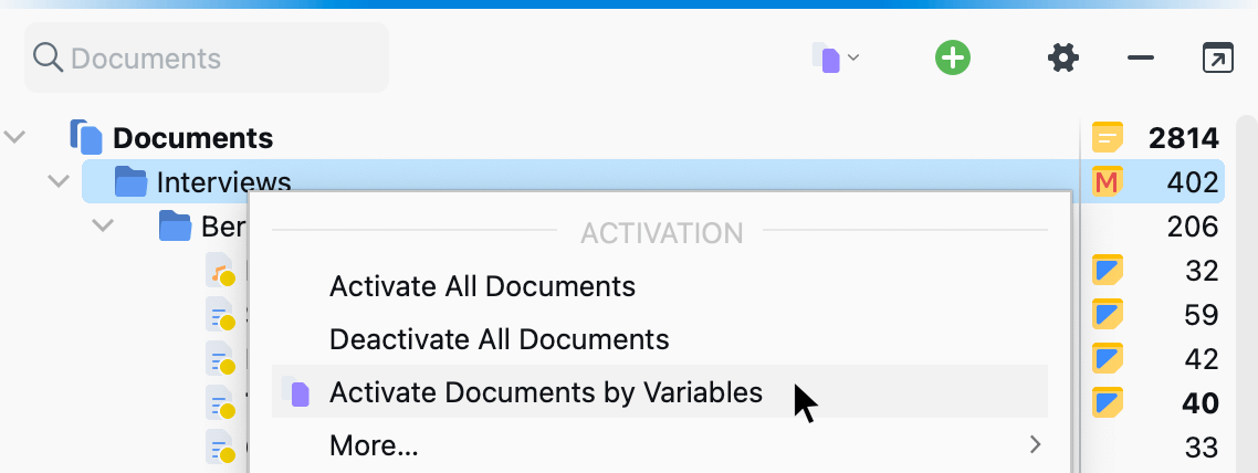 Accessing the function from the context menu or the icon in the “Document System” Accessing the function from the context menu