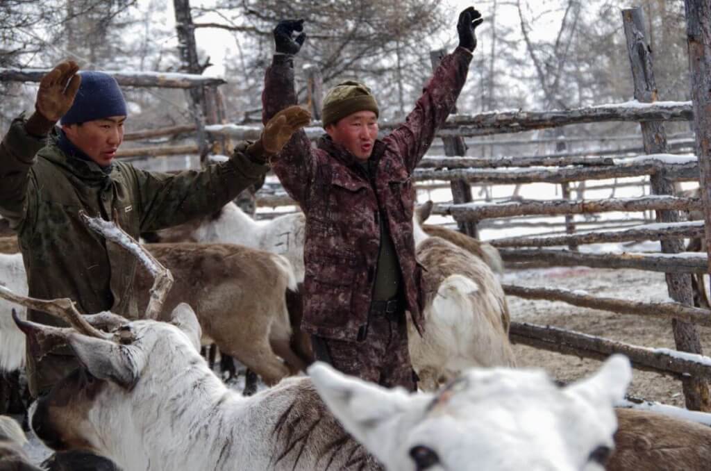 Yakutian herders during annual reindeer recounting