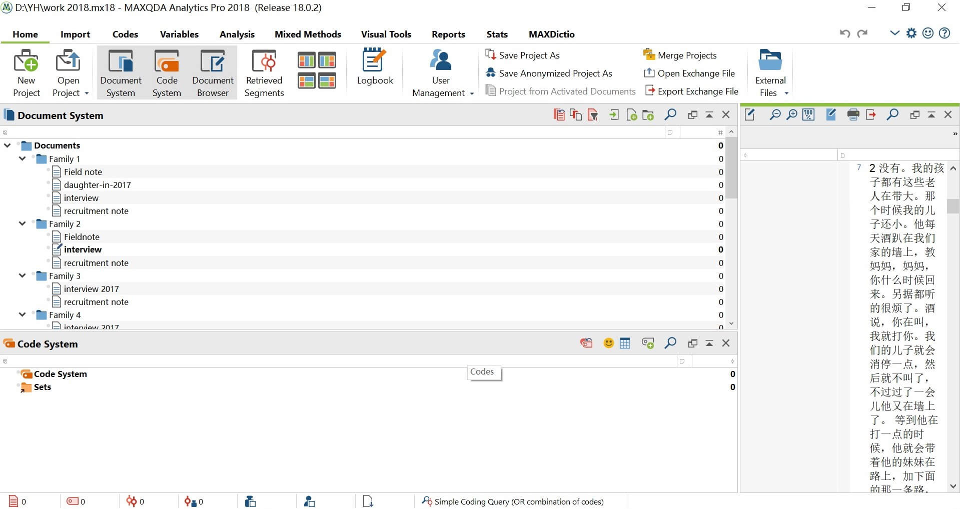 Organizing the data with MAXQDA