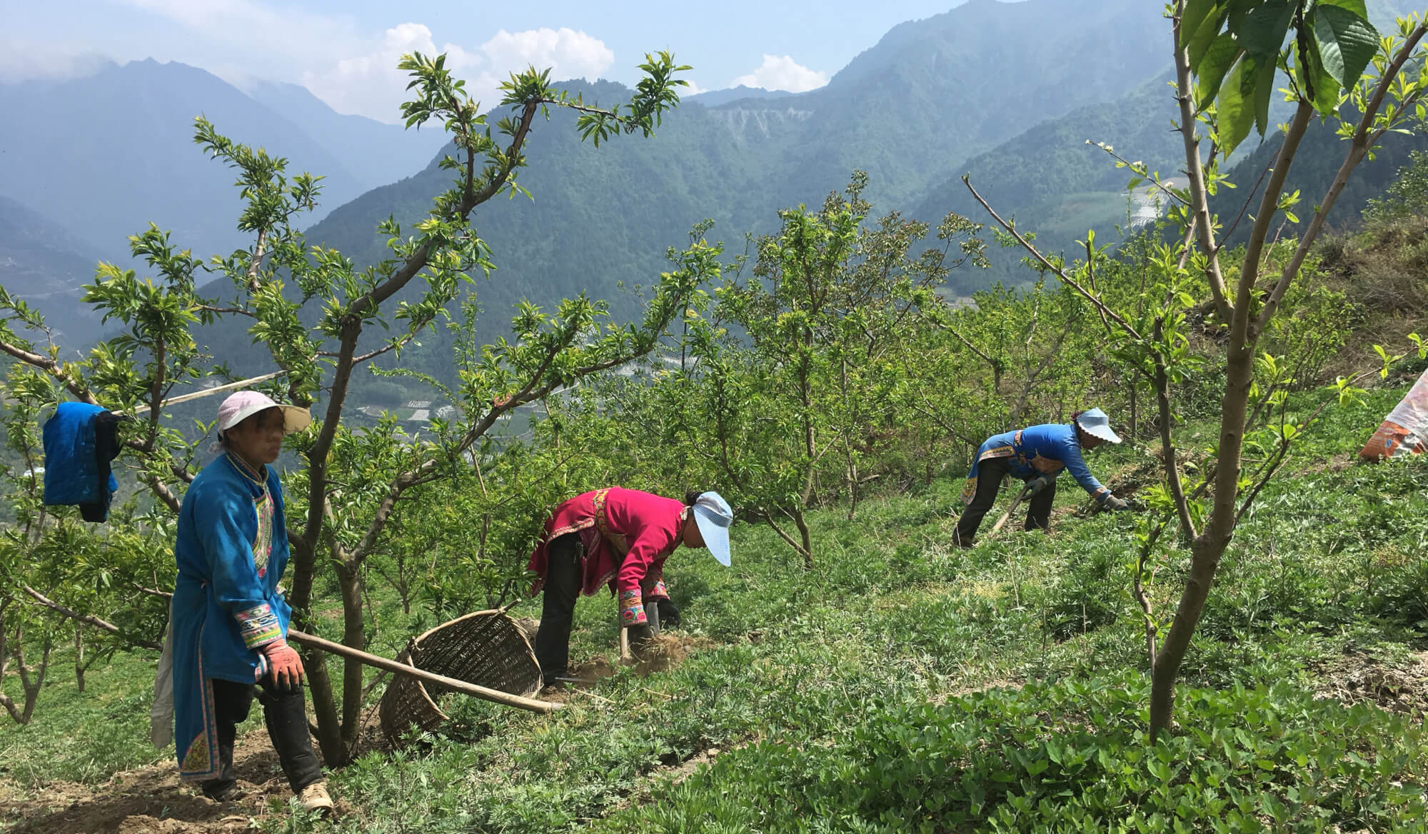 Focus Group Discussions in the field in China