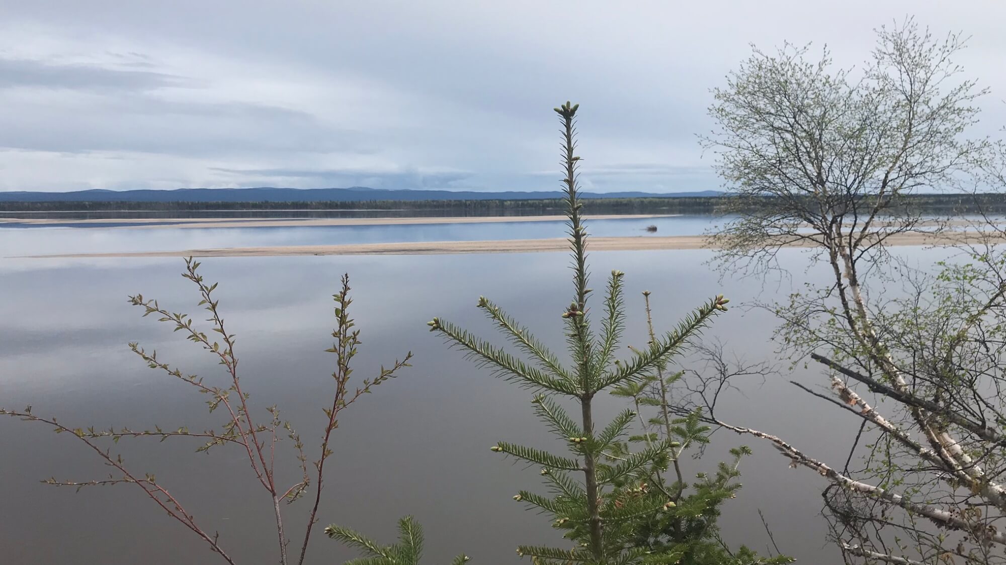 View from Happy Valley-Goose Bay’s Birch Island Boardwalk
