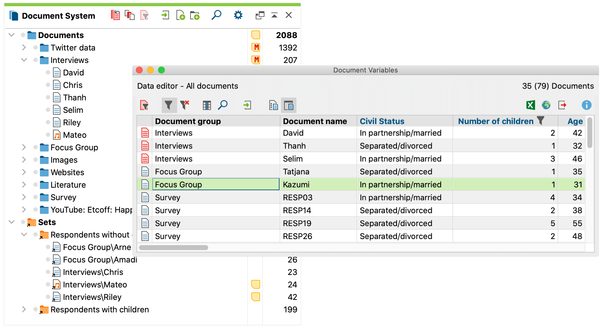 Organize data in MAXQDA