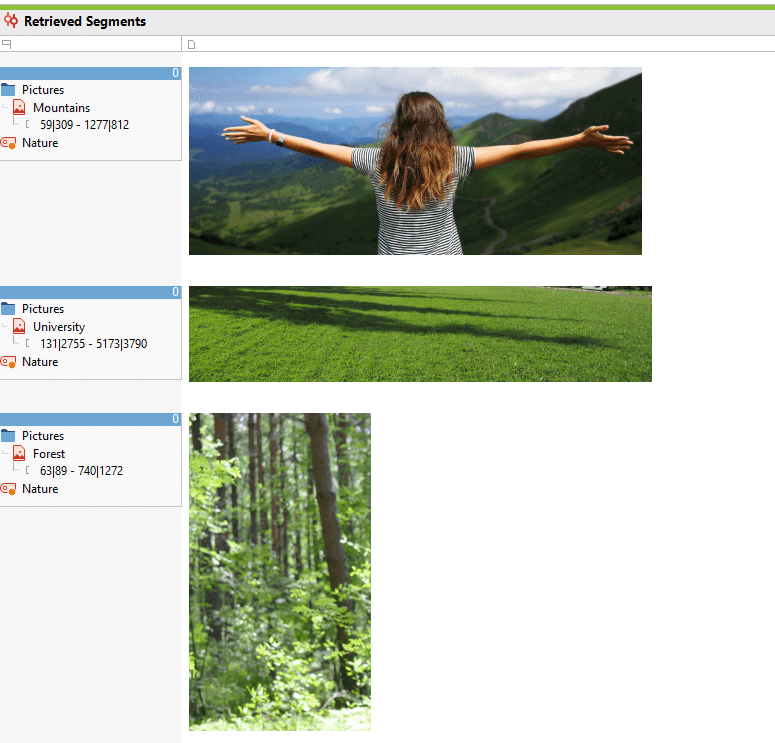 retreive coded image segments with MAXQDA 2018