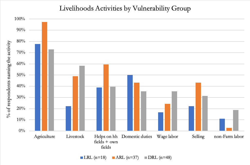 Screenshot from MS Excel showing a chart depicting data on Livelihood Activities by Vulnerability Group coded in MAXQDA.