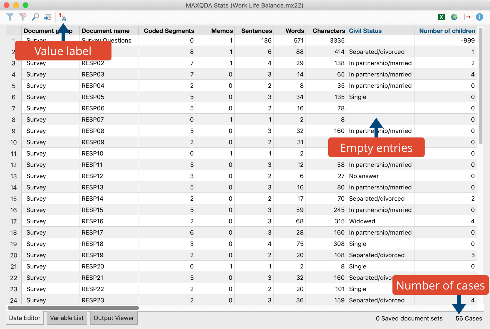 The MAXQDA Stats Data Editor The MAXQDA Stats Data Editor