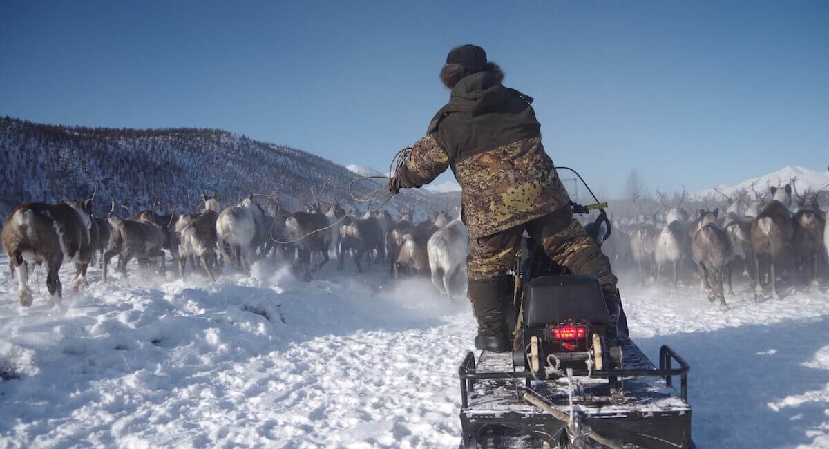 Narrative Analysis with MAXQDA in Siberia