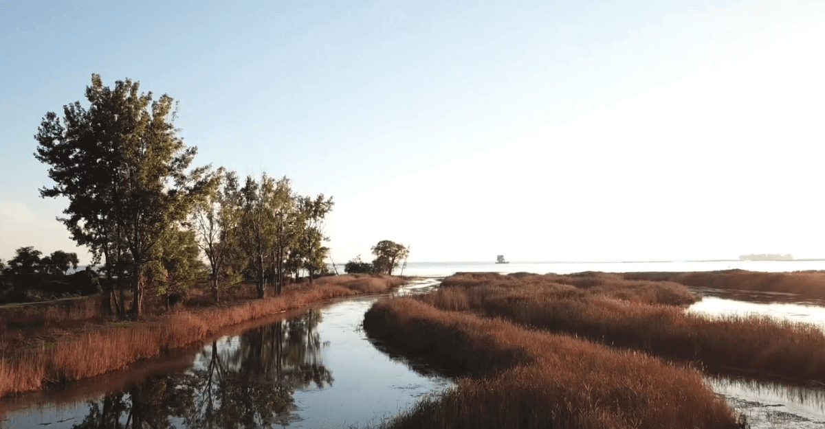 Development research: St. Claire Lake on the south of the Walpole Island First Nation