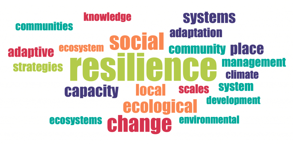 Word frequency in abstract: ecology