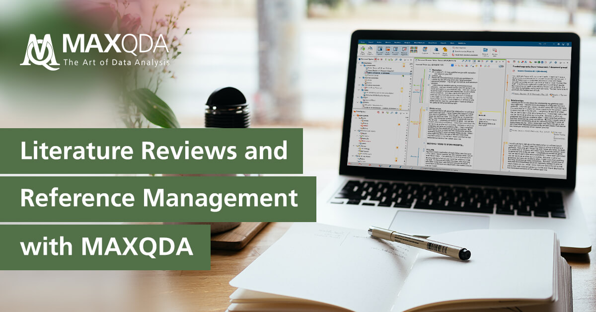 Literature review handbook picture