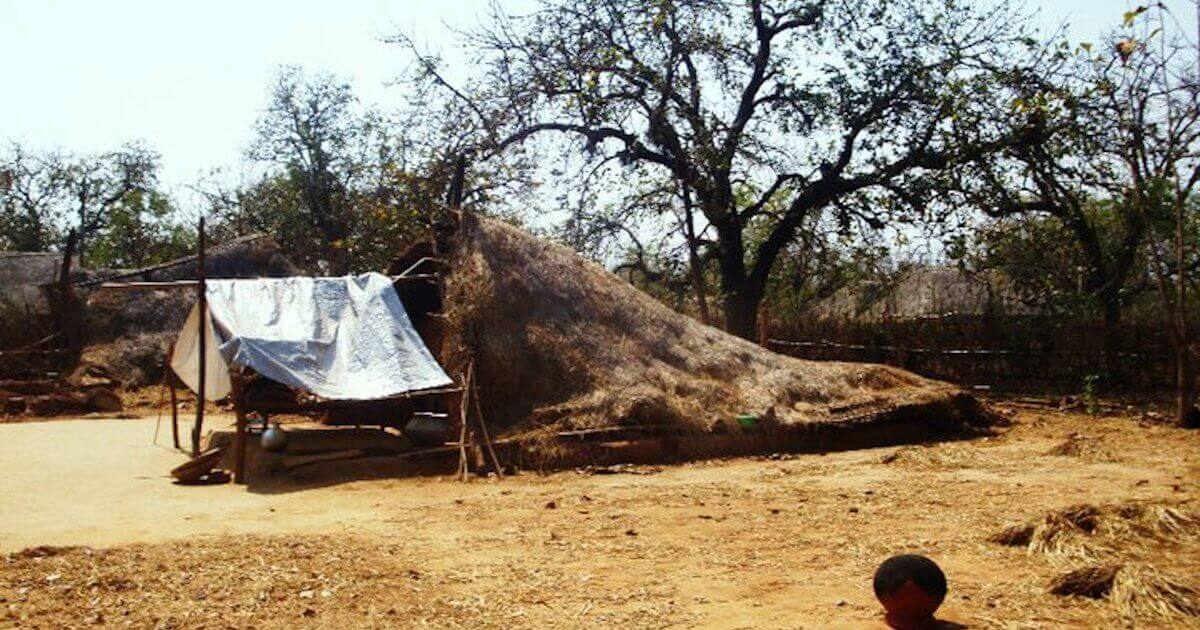 house pulled down by an elephant