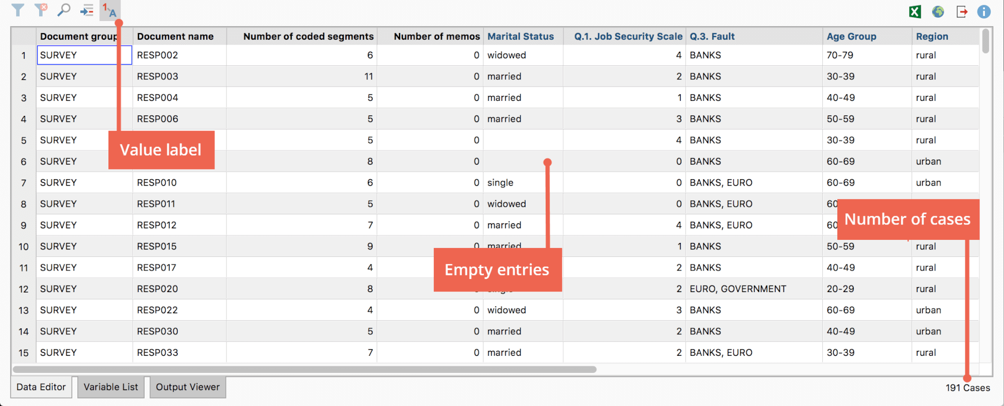 The MAXQDA Stats Data Editor The MAXQDA Stats Data Editor