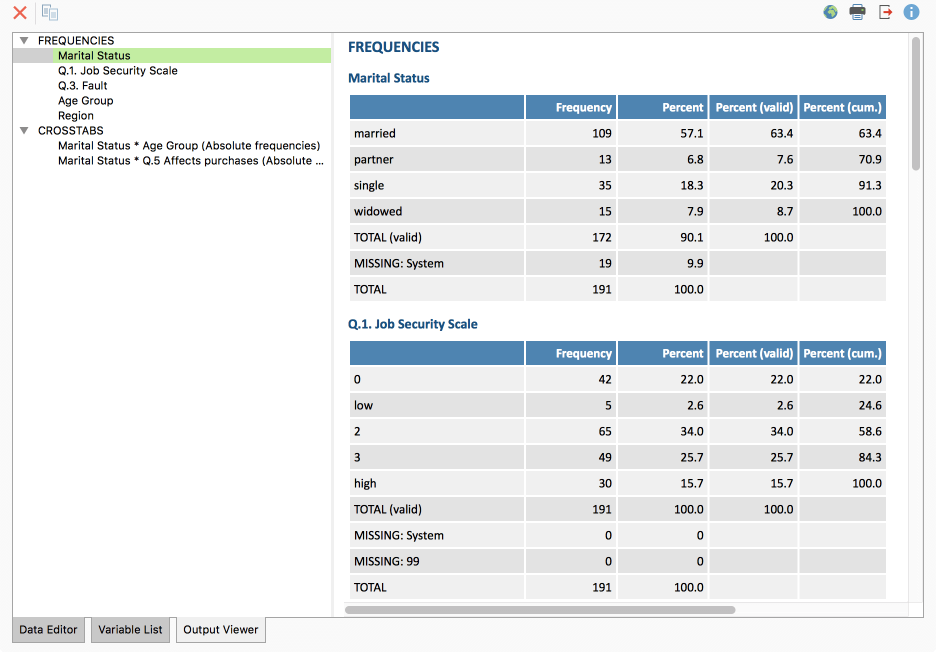 The Output Viewer